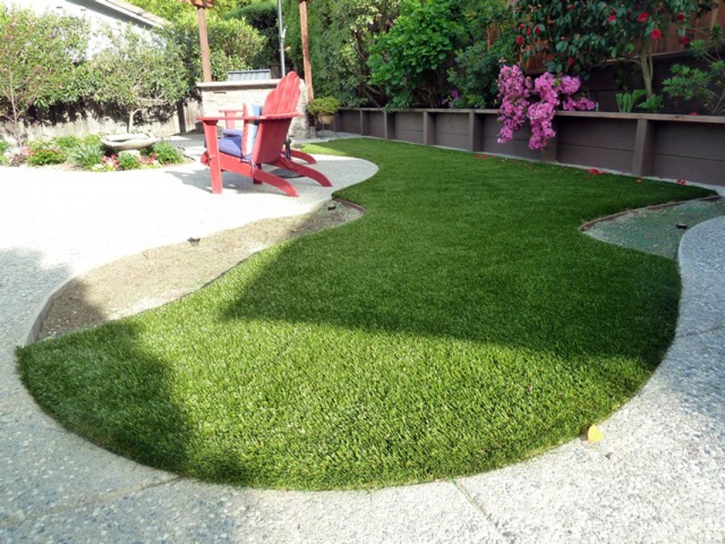 Artificial Grass Elgin, Tennessee Dog Run, Backyard Design
