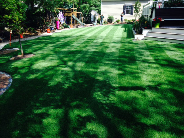 Artificial Grass Installation Blaine, Tennessee Landscape Ideas, Backyards