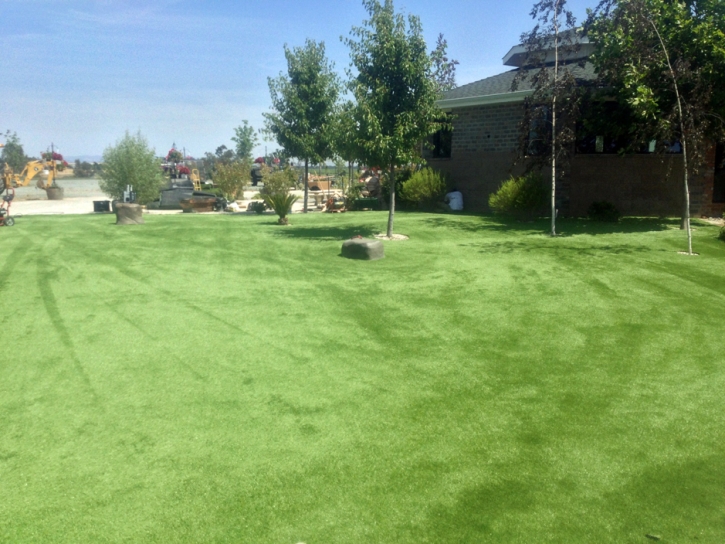Artificial Grass Saint Joseph, Tennessee Home And Garden, Recreational Areas