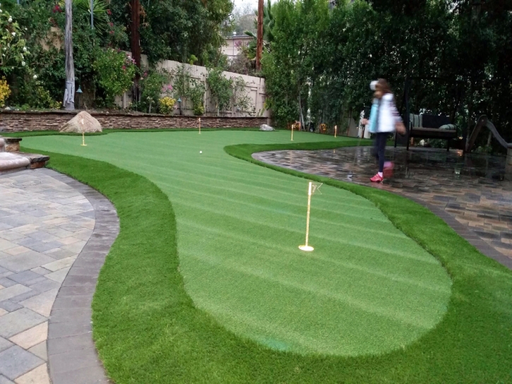 Artificial Turf Columbia, Tennessee How To Build A Putting Green, Backyard Garden Ideas