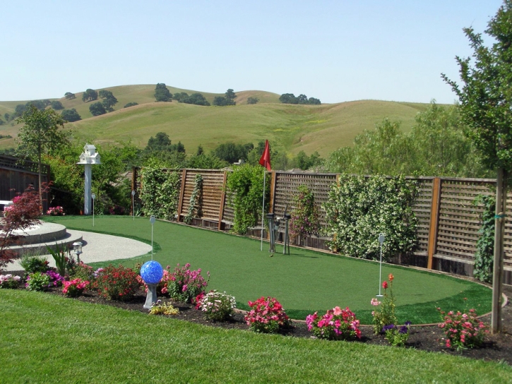 Artificial Turf Cost Flintville, Tennessee Design Ideas, Backyard Landscaping