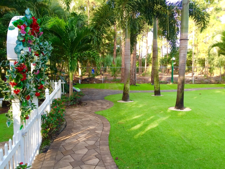 Artificial Turf Cost Winfield, Tennessee Landscape Photos, Backyard