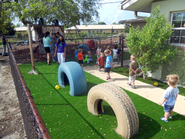 Artificial Turf Dodson Branch, Tennessee Indoor Playground, Commercial Landscape