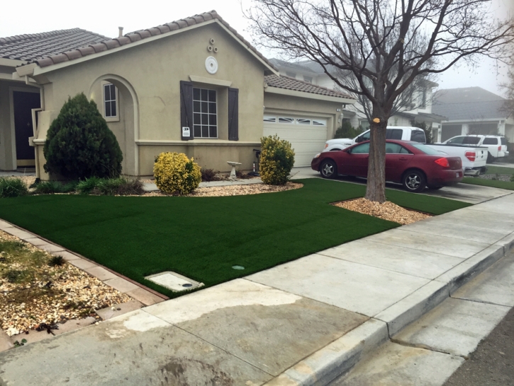 Artificial Turf Installation Harriman, Tennessee Lawns, Front Yard