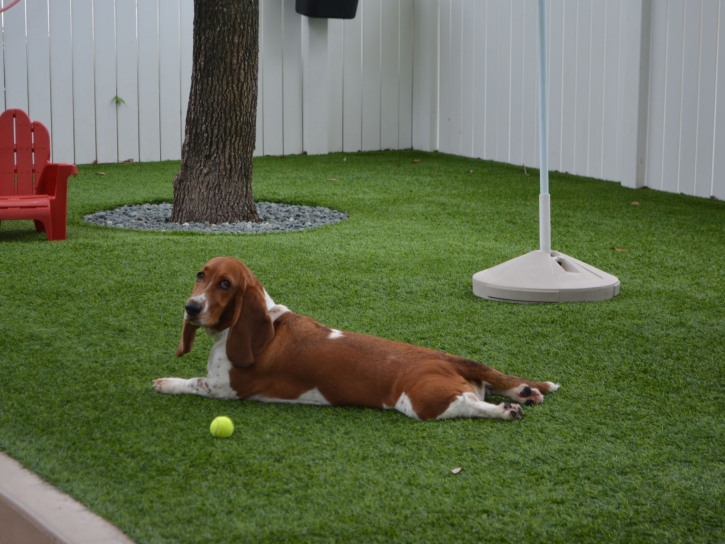 Artificial Turf Installation Wildwood, Tennessee Dog Running, Dogs Park