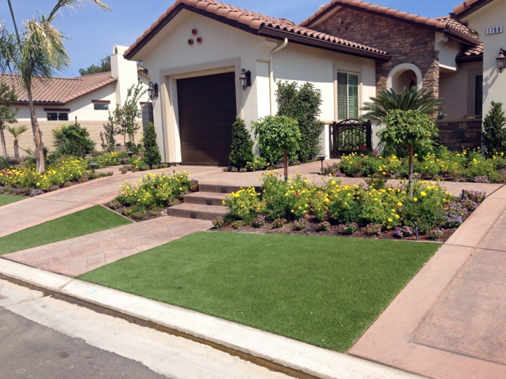 Best Artificial Grass Rossville, Tennessee Landscape Photos, Front Yard Landscaping Ideas
