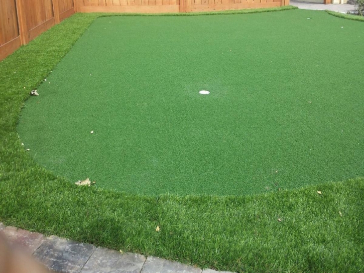 Best Artificial Grass Shelbyville, Tennessee Lawn And Landscape