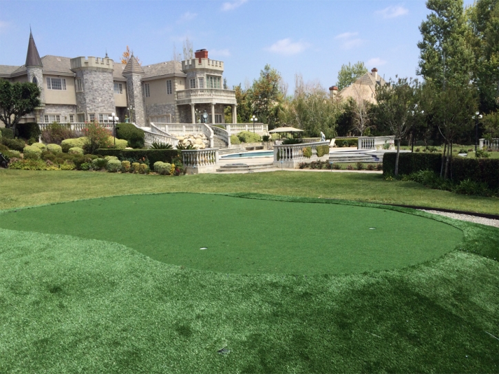 Fake Grass Carpet Central, Tennessee Landscape Ideas, Small Front Yard Landscaping