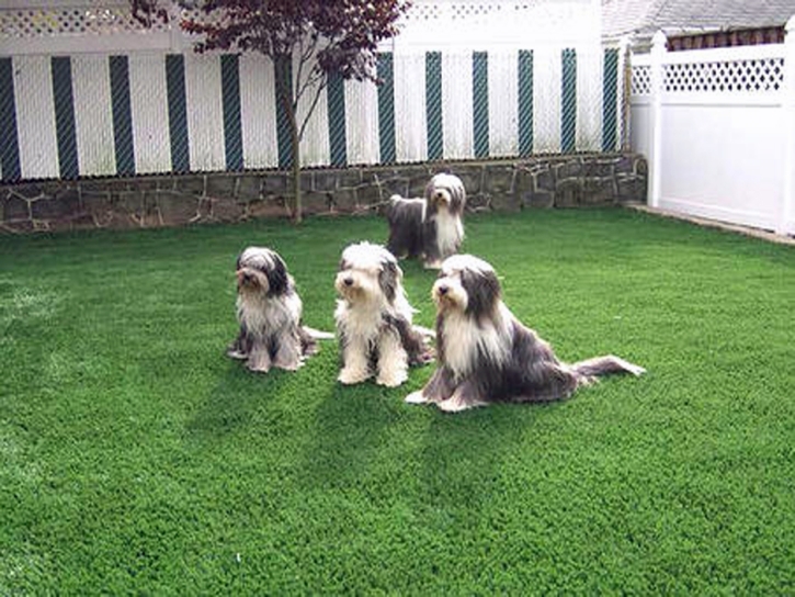 Fake Grass Carpet Garland, Tennessee Lawn And Garden, Backyard Landscape Ideas