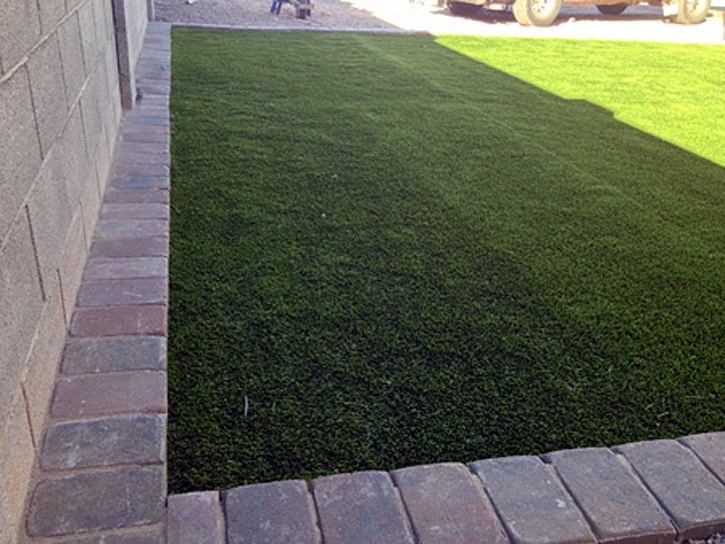 Fake Grass Carpet South Pittsburg, Tennessee Dog Run, Landscaping Ideas For Front Yard
