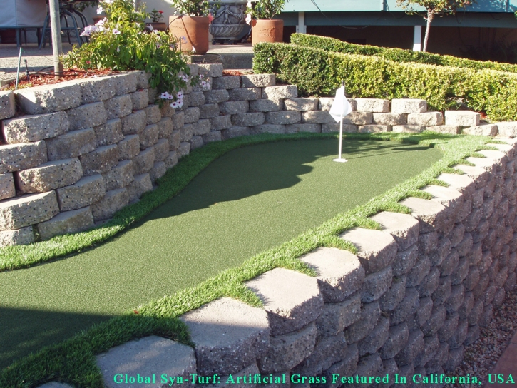 Fake Grass Lakeland, Tennessee Gardeners, Backyard Designs
