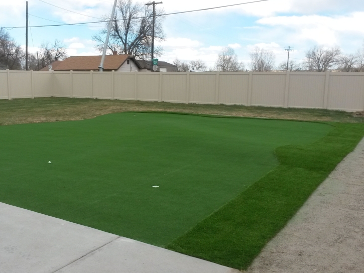Fake Grass Lenoir City, Tennessee Indoor Putting Green, Backyard Ideas