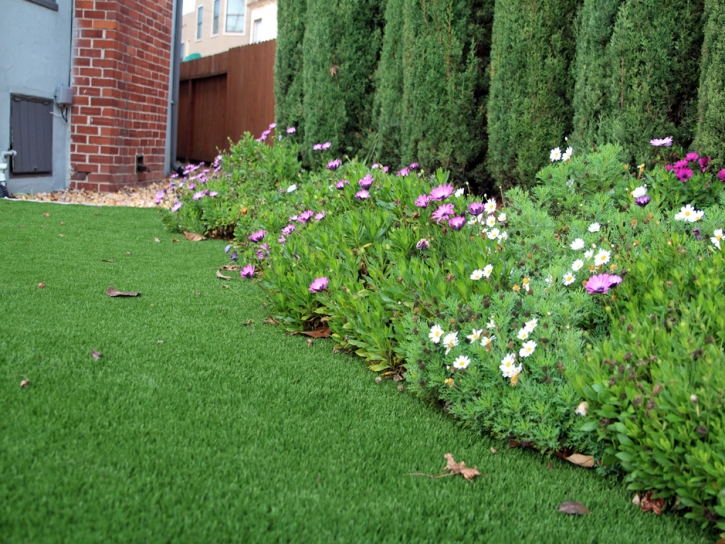 Fake Turf Orme, Tennessee Gardeners, Front Yard Ideas