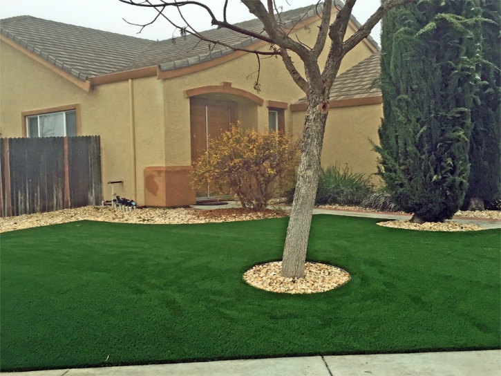 Grass Carpet Oakdale, Tennessee Lawn And Landscape, Landscaping Ideas For Front Yard
