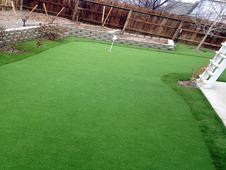 Grass Turf Soddy-Daisy, Tennessee Indoor Putting Greens, Backyard Landscape Ideas