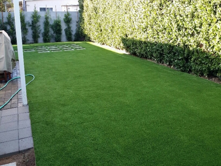 How To Install Artificial Grass Mooresburg, Tennessee Landscaping Business, Backyard Garden Ideas