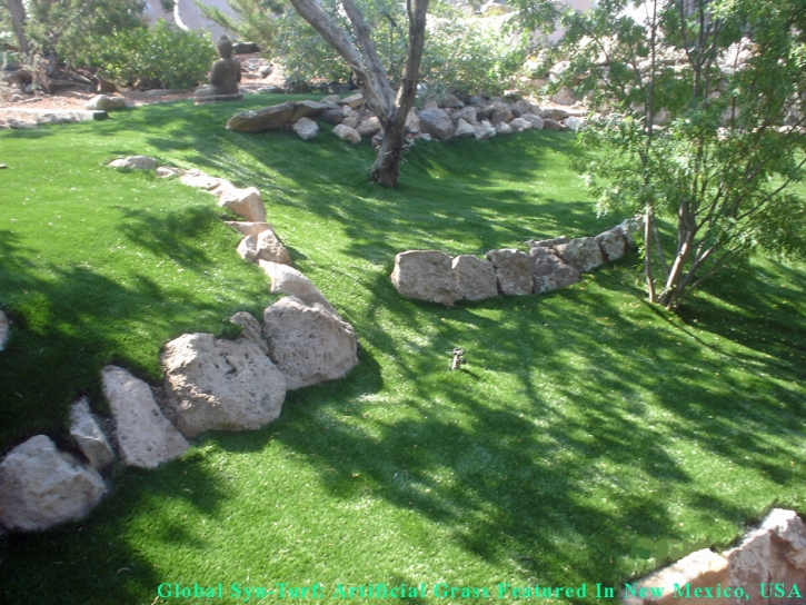 Installing Artificial Grass Arlington, Tennessee Landscape Photos, Commercial Landscape