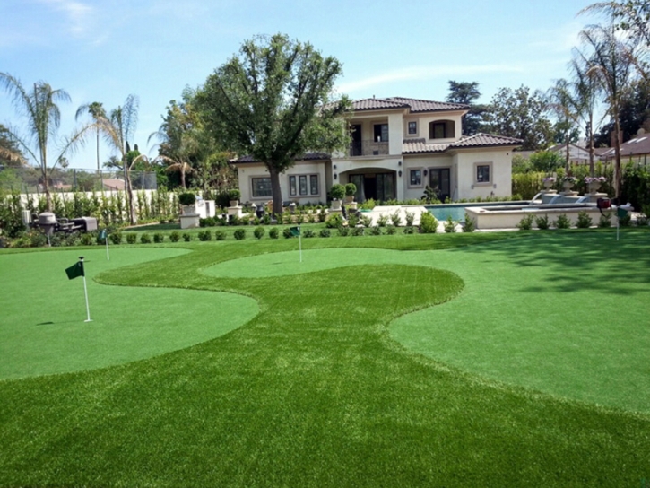 Lawn Services Pegram, Tennessee Artificial Putting Greens, Front Yard