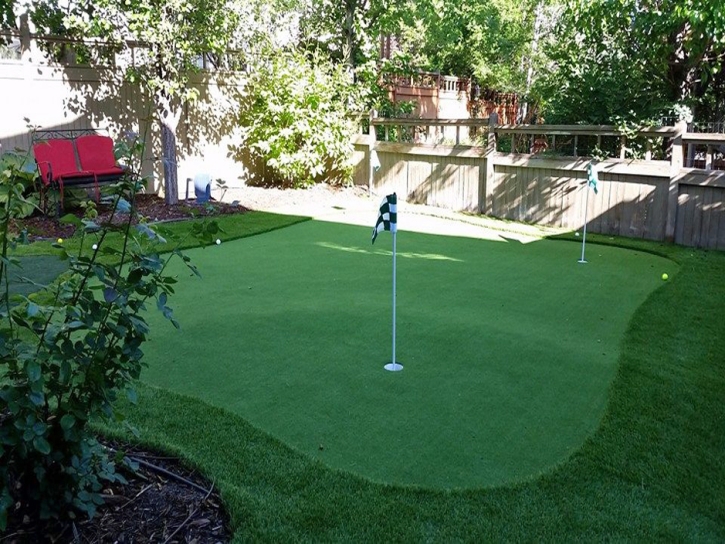 Plastic Grass Cookeville, Tennessee Office Putting Green, Backyard Garden Ideas