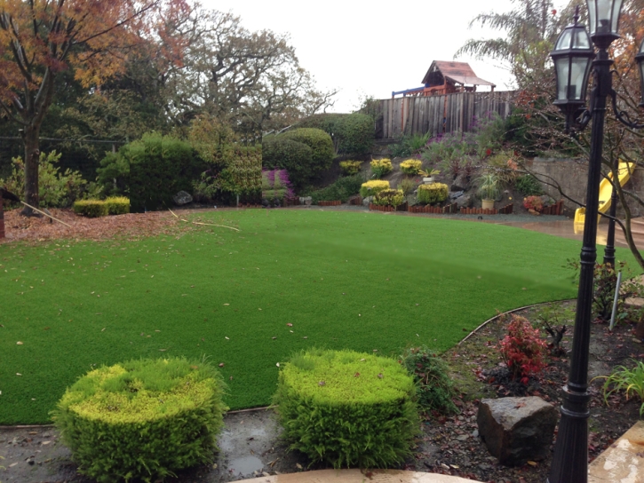 Plastic Grass Stantonville, Tennessee Landscaping Business, Backyard Landscaping Ideas