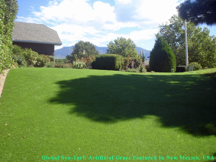 Synthetic Grass Collierville, Tennessee Artificial Grass For Dogs, Backyard Makeover