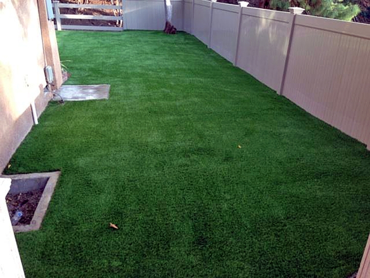 Synthetic Grass Cost Mount Juliet, Tennessee Dog Pound, Small Backyard Ideas