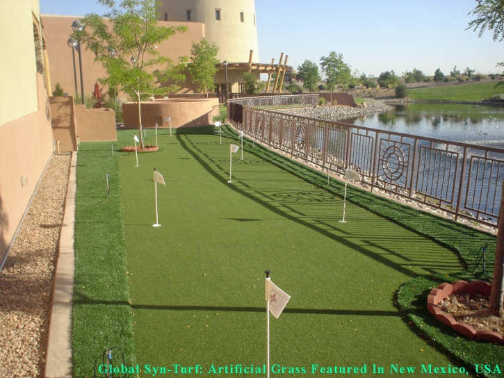 Synthetic Grass Germantown, Tennessee Golf Green, Backyards