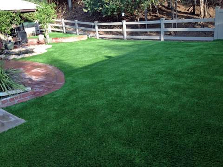 Synthetic Grass Petersburg, Tennessee Pet Paradise, Backyard Landscaping Ideas