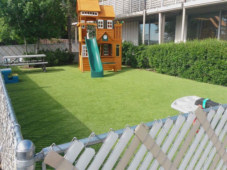Synthetic Lawn Spring City, Tennessee Playground Flooring, Backyard Landscaping
