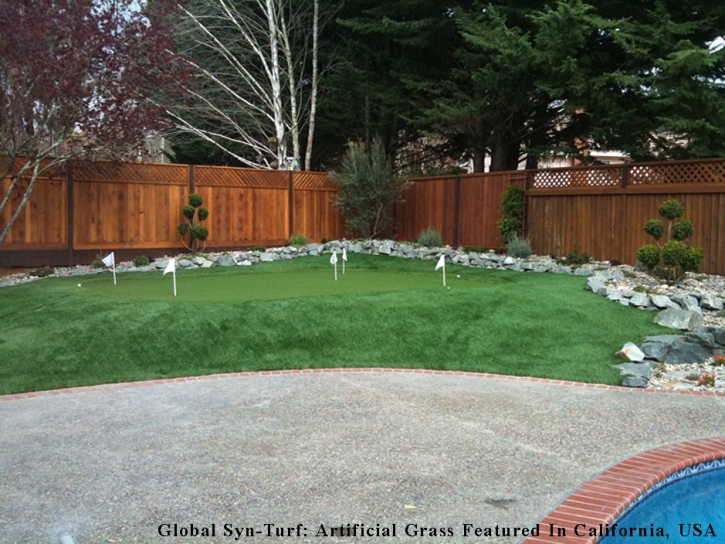 Synthetic Turf Brighton, Tennessee Roof Top, Backyard Landscaping