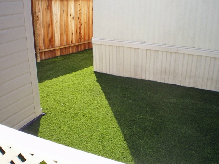 Synthetic Turf Cross Plains, Tennessee Cat Playground, Backyard Landscape Ideas