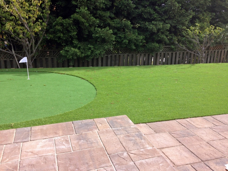 Synthetic Turf Supplier Cottage Grove, Tennessee Home And Garden, Backyard Designs