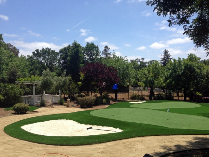 Synthetic Turf Supplier Lakewood, Tennessee Best Indoor Putting Green, Front Yard