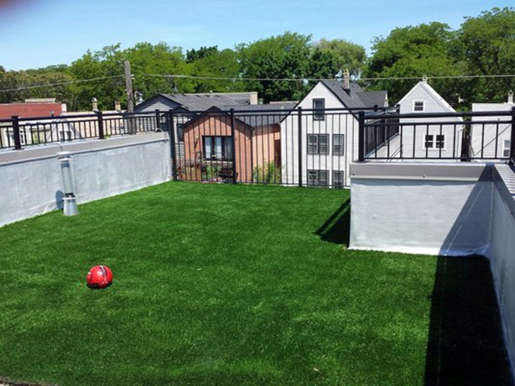 Synthetic Turf Supplier Lobelville, Tennessee Cat Playground, Deck