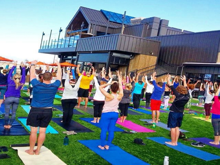 Turf Grass Altamont, Tennessee Garden Ideas, Commercial Landscape