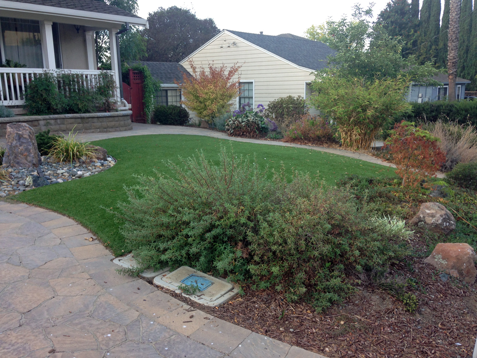 Grass Turf Bwood Tennessee, Front Yard Landscaping Designs Free